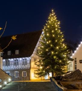 Weihnachtsbaum vor Gebäude