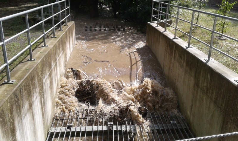 Hochwasser Räuschelbach  August 2017