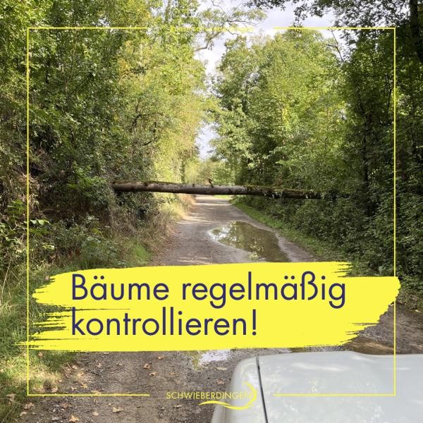 Häuseransicht eines Ortes und Text