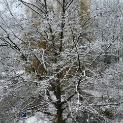 Logo Schwieberdingen